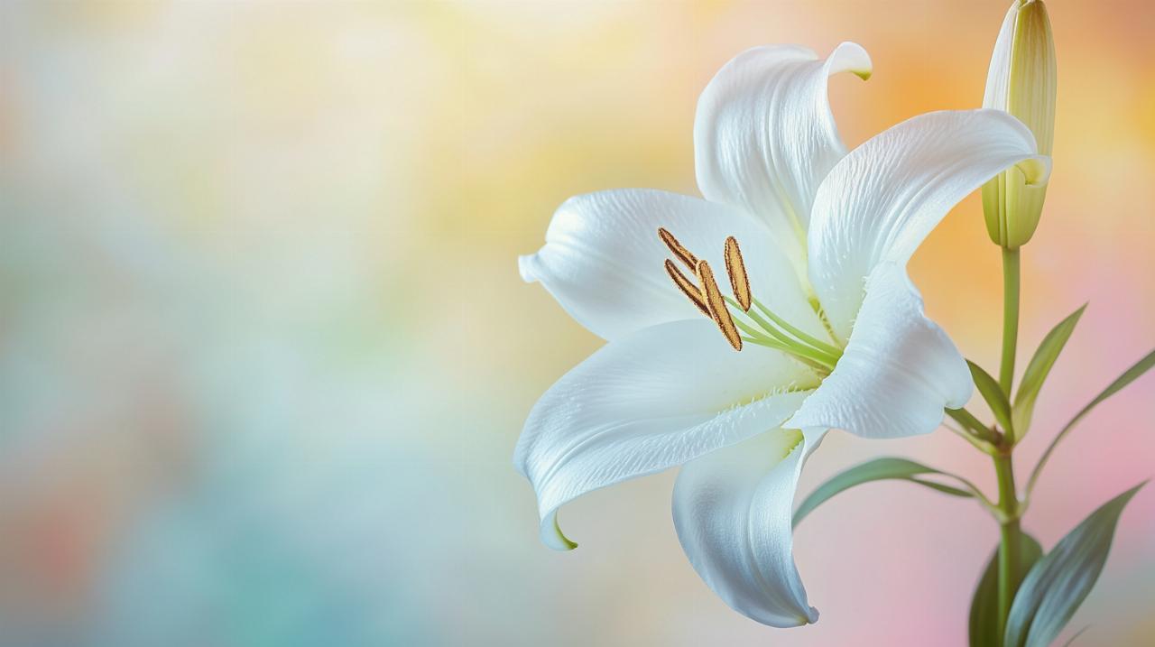 Cómo escribir un mensaje de condolencias evitando palabras inapropiadas